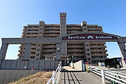 スペクトル船頭場