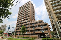 マルベリー瑞穂