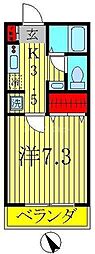 コモド柏