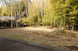 天宝喜207坪