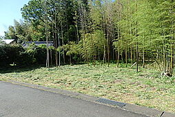 天宝喜207坪