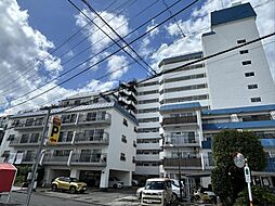 秀和川越南大塚レジデンス 313