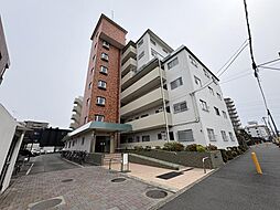 サングリーン朝霞 503