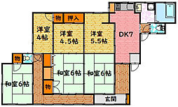本地平屋
