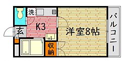 東子ハイツc 204号室