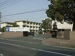 鳥栖市本鳥栖町3期　1区画　YTS