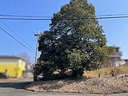 小野市万勝寺町