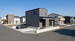 LFB CASUAL 新田(11)