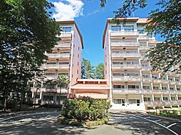 中沢ヴィレッジ・ヴィラII