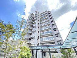 バンベール左京山