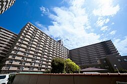 シャトー第2八戸ノ里 313