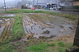 石川町谷沢榎町　田んぼ