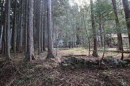 秩父市荒川白久　山林