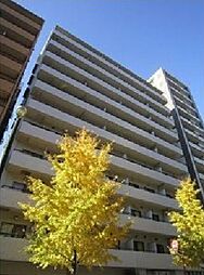 文京区音羽１丁目