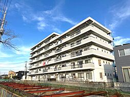 ベルドゥムール春日部