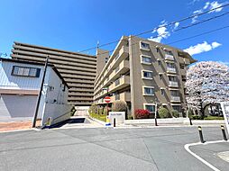 サンライフ東川口