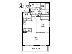 Will peak shiho 204