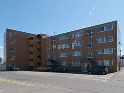 レジデンス月寒 103