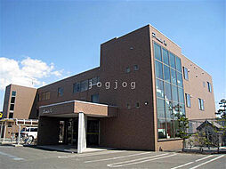 プリムラＫ3 205