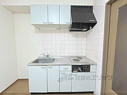 サンバティーク 502