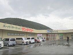 サンバティーク 305