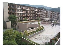 サンシティ桂坂ロイヤル3番館 213