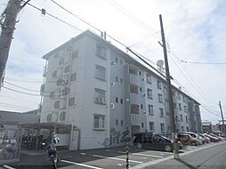 ハイツカームネス 101