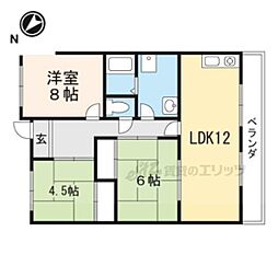 ヴィラ村崎 501