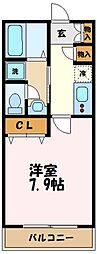 カーサスピカ 205