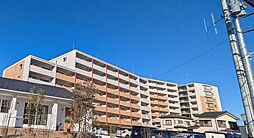 ライフレビュー海老名南マスターステージ