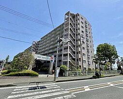 湘南サザン260