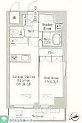 グレースティリア