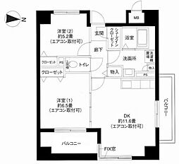 エヴァーグリーン新羽