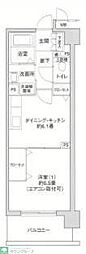 エヴァーグリーン新羽 206