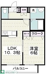 アネシス上星川 203