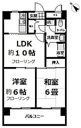 キクナスプリングス