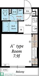 リブリ・Wald Flourish