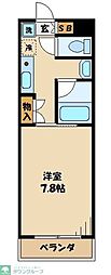 C’s  31 KOYATA