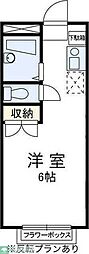 フイリア