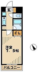 ルピナス1