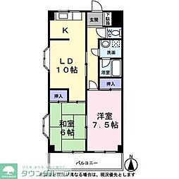 白樺