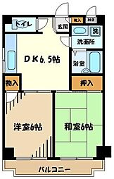 グリーンビューラー
