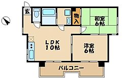 シャルール相模