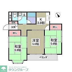 ベルハイム白金