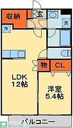 アムールアドニス 206