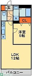 ＭＳパラッゾ 204