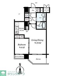 メインステージ パーク大山 301