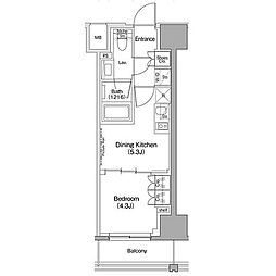 ザ・パークハビオ滝野川 1003