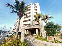 JGMシュリアン土井