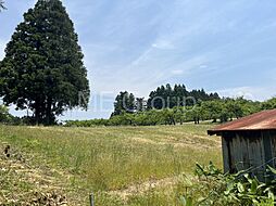 鶴岡市羽黒町川代字川代山 土地 2課